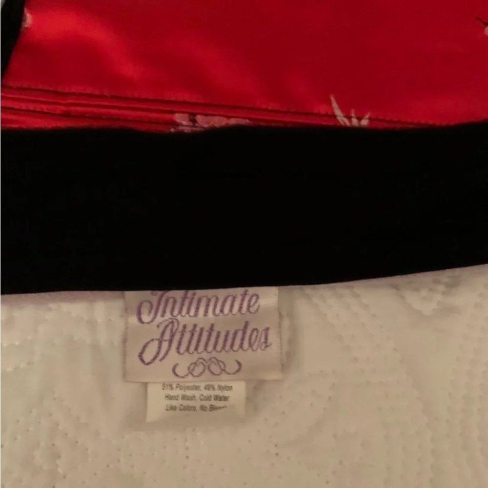 Red Corset NWOT